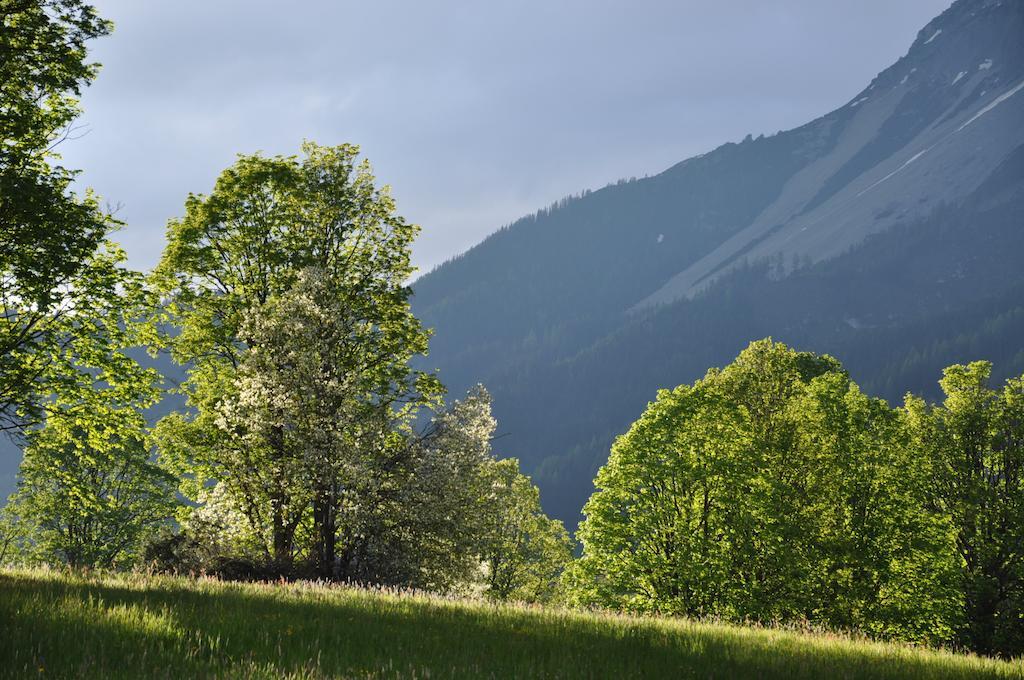Apartmenthaus Dornroeschen Ramsau am Dachstein Esterno foto